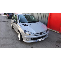Phares à fond noir Peugeot 206 H4 et H7